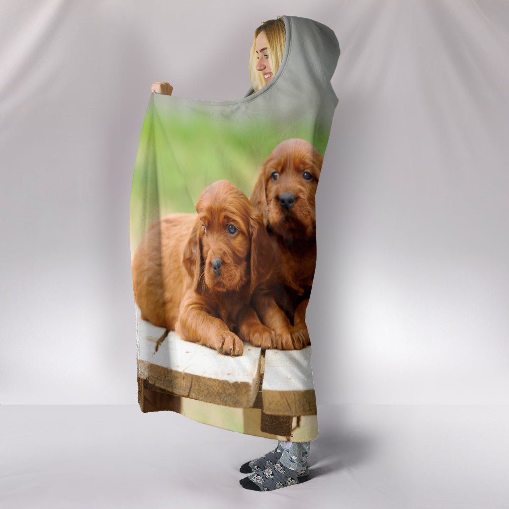 Hooded clearance dog blanket