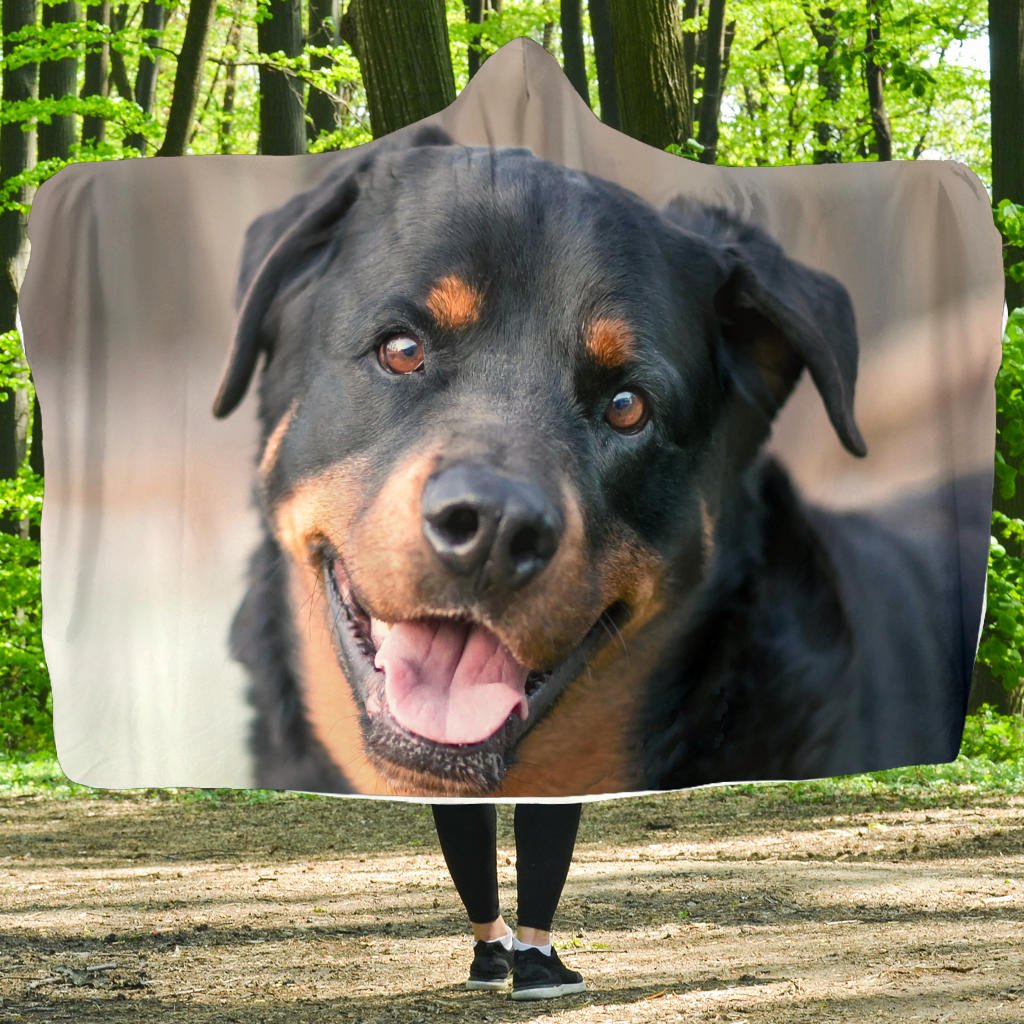 Rottweiler Premium Plush Hooded Blanket - Best Friends Art